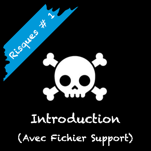 Risque-1 Approche par les risques Introduction
